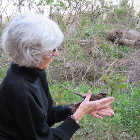 Senior woman holding wild bird